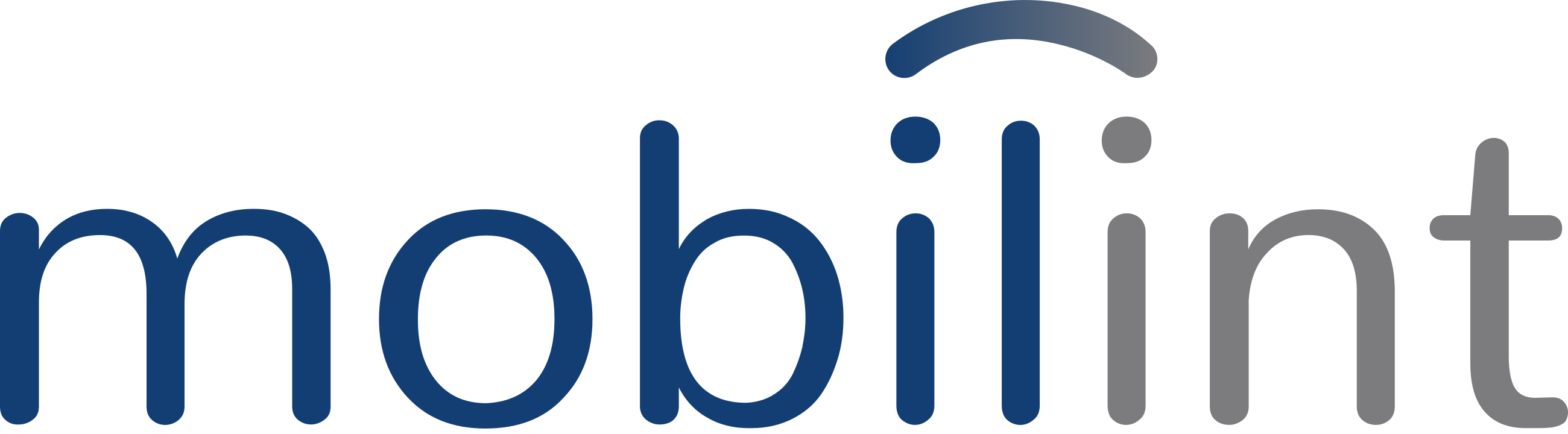 Mobilint